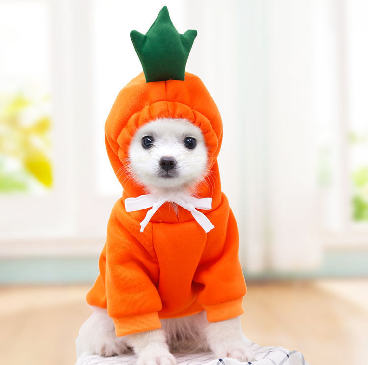 Cute Fruit Dog Hoodies for Small Dogs: Winter Warm Fleece Pet Clothing in Various Designs